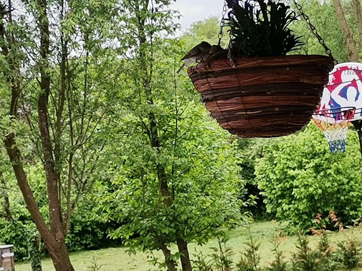 Okerka Vendeghaz Apartment Csesztreg Bagian luar foto